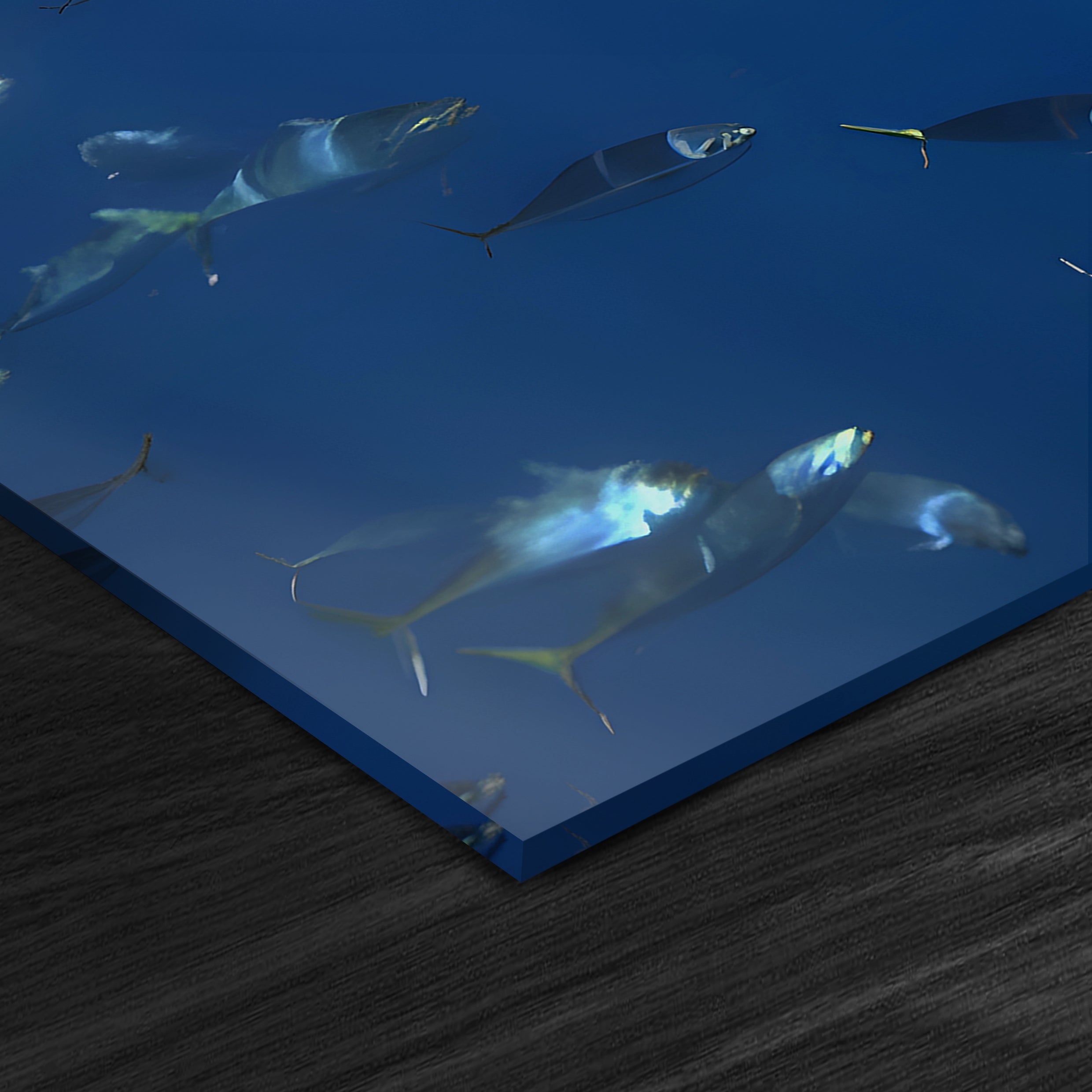 Shark