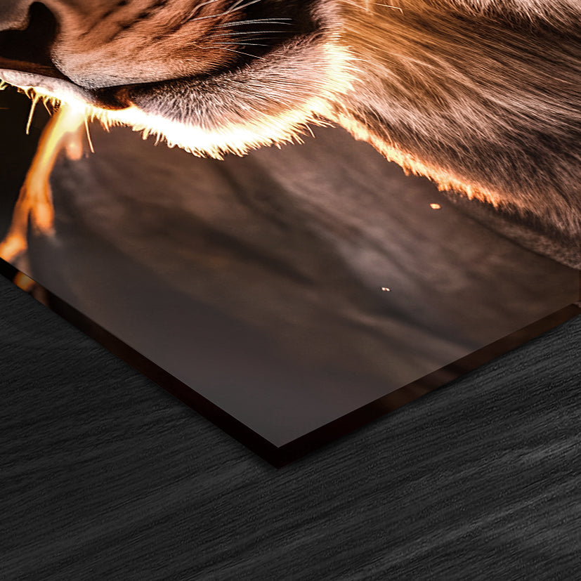 Dusk Lioness