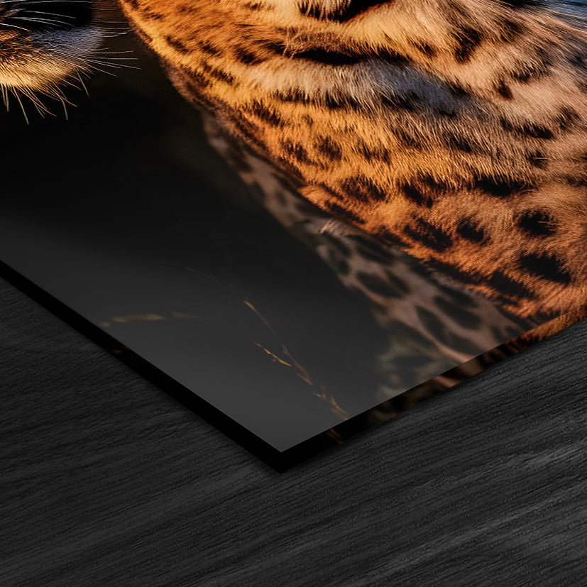 Dusk Cheetah