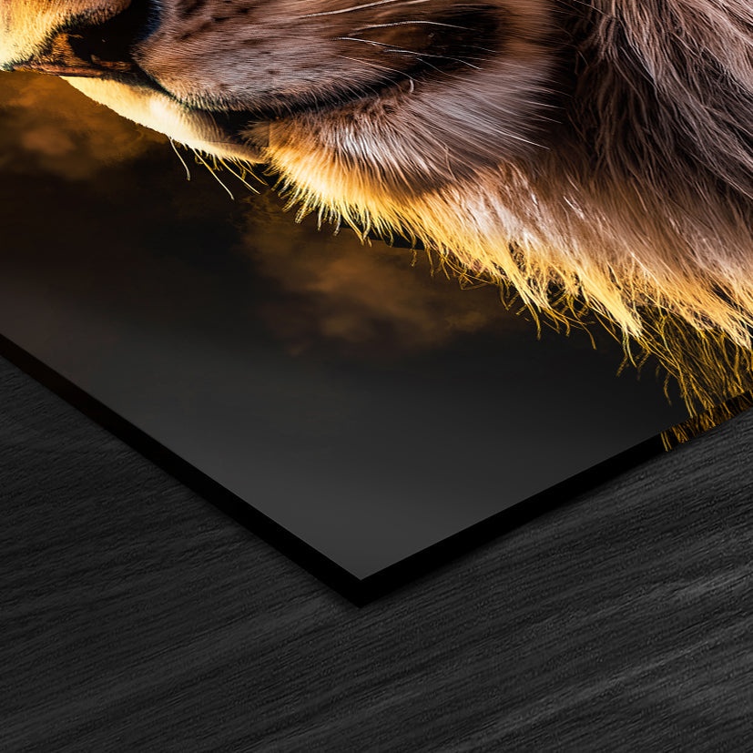 Dusk Lion