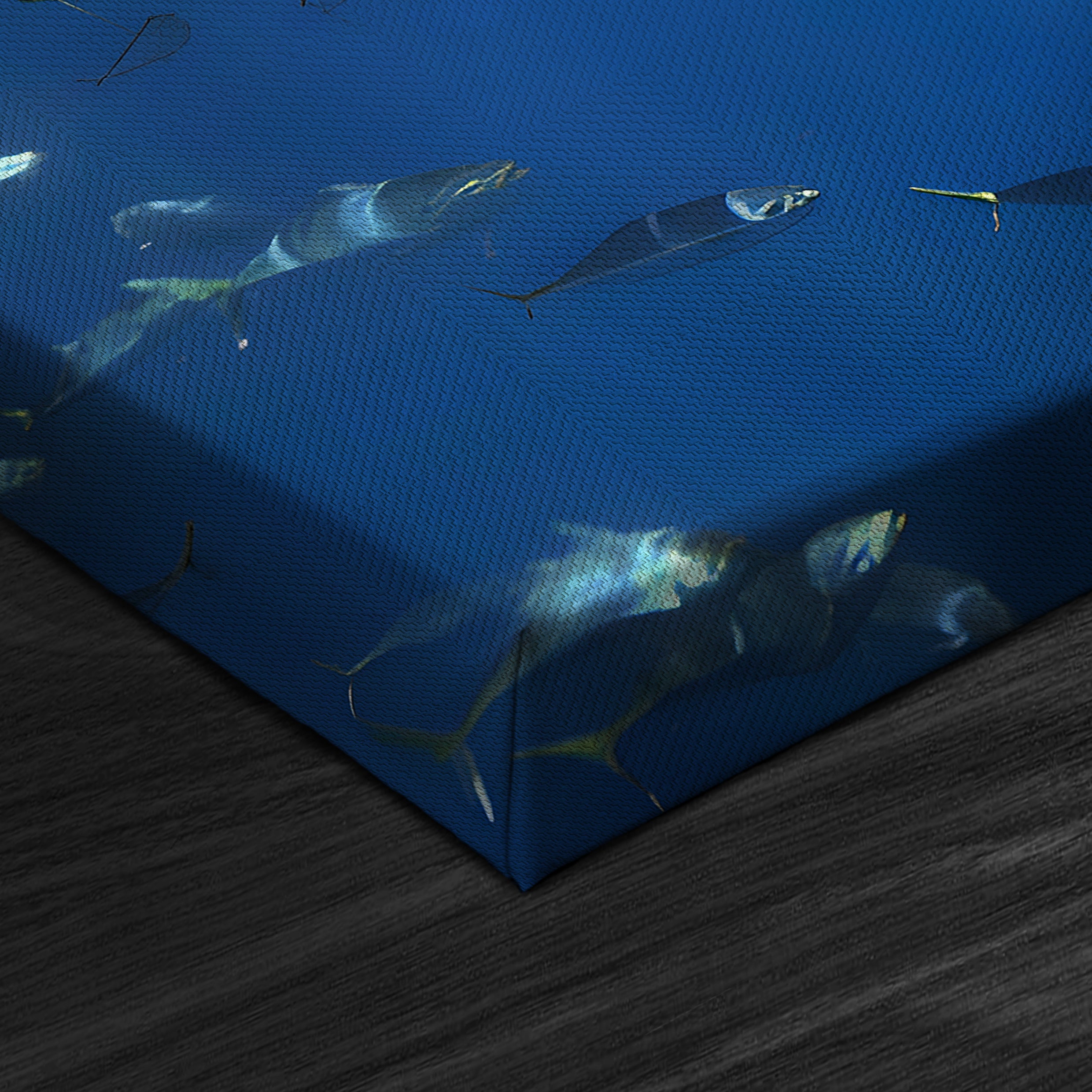 Shark