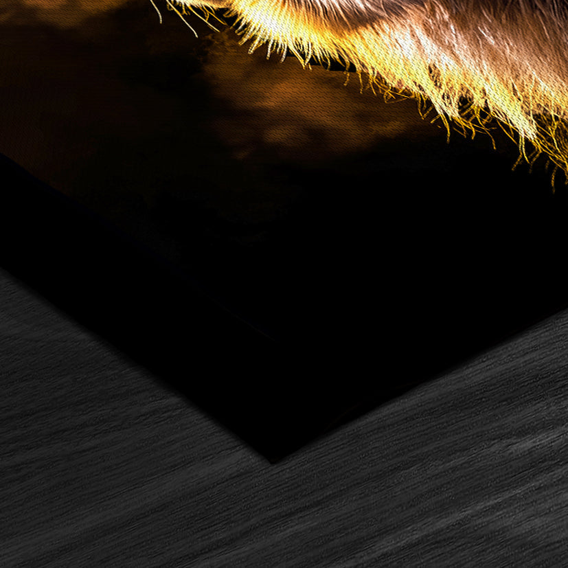 Dusk Lion