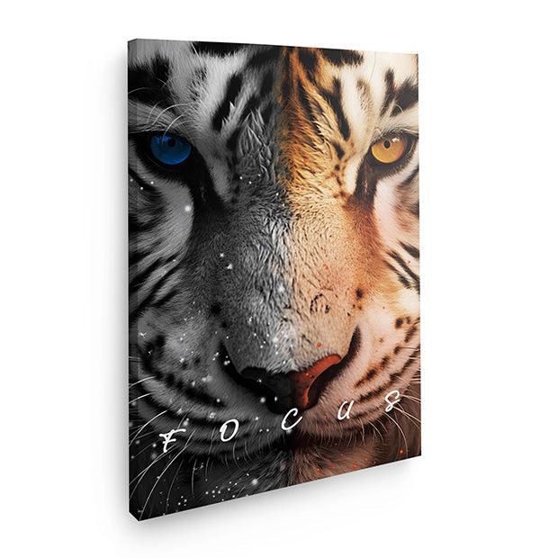 Tiger "Focus"