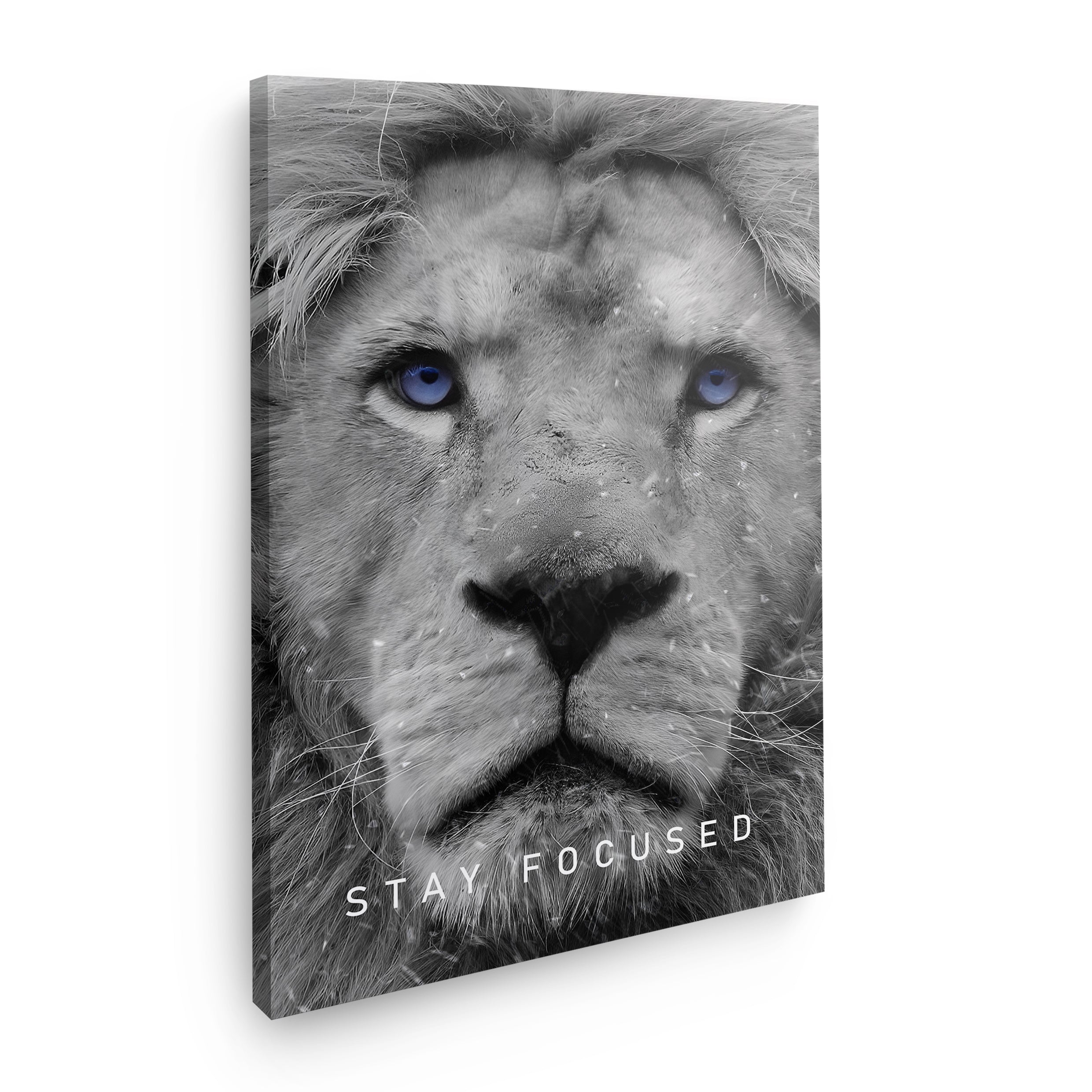 Lion "Stay focused"